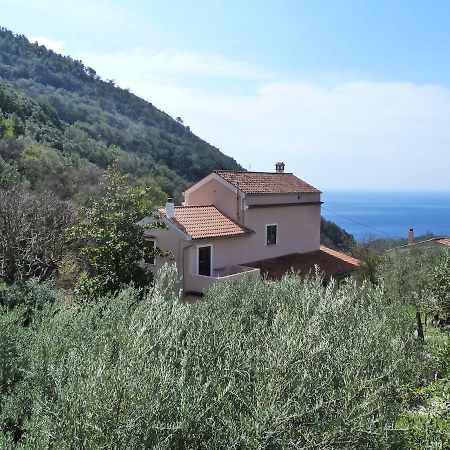 Casa Puccini B&B Maratea Dış mekan fotoğraf