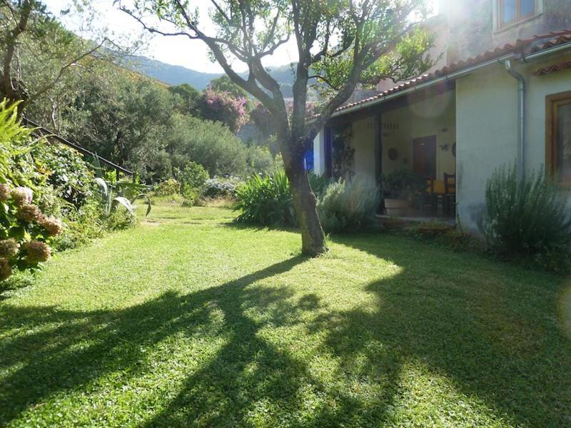 Casa Puccini B&B Maratea Dış mekan fotoğraf