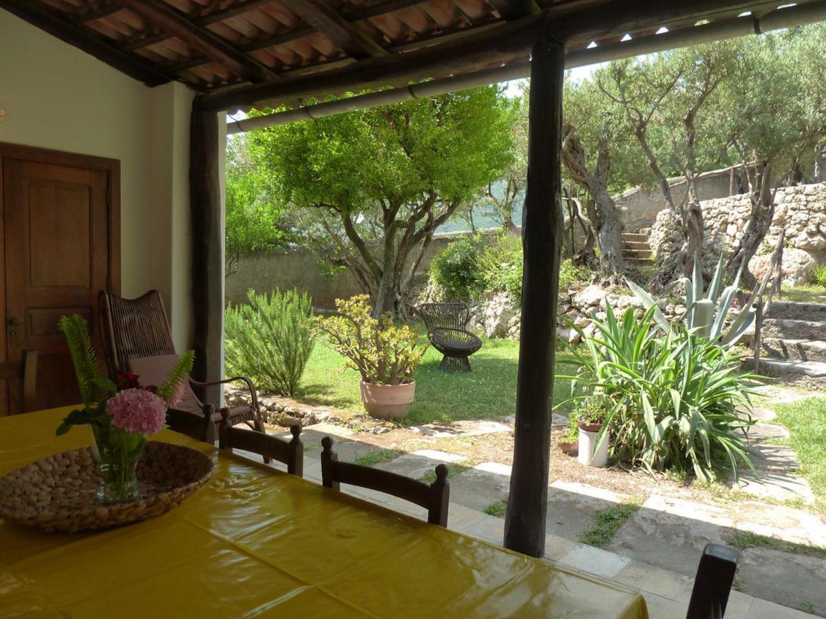 Casa Puccini B&B Maratea Dış mekan fotoğraf